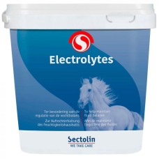 Sectolin Electrolyten- 500gr